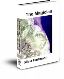 The Magician by Silvia Hartmann