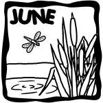 The GoE June 2009 Newsletter