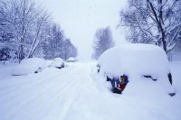 EFT In The Snow