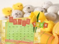 The EMO April 2009 Newsletter