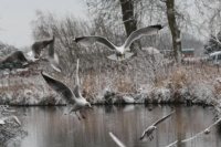 Anxiety: How can I stop feeling anxious all the time?