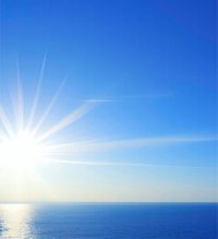 People Are Too Trusting