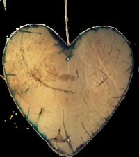 Maria Chappell, Chi - Ki Holistic Health