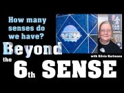 We know what the 6th Sense is - but HOW MANY senses do we have?