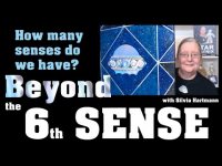 We know what the 6th Sense is - but HOW MANY senses do we have? We know what the 6th Sense is - but HOW MANY senses do we have?