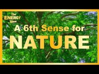 A Sixth Sense For Nature: Re-Connecting With The Oceans of Energy A Sixth Sense For Nature: Re-Connecting With The Oceans of Energy