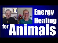 Energy Healing For Animals with Zoe Hobden Energy Healing For Animals with Zoe Hobden