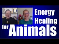 Energy Healing For Animals Course with Zoe Hobden Energy Healing For Animals Course with Zoe Hobden