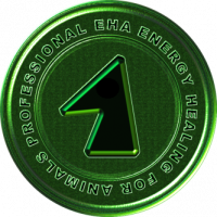 New Energy Healing for Animals Course Coming March 2015!