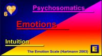 Emotion Scale