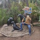 Ouedraogo  Adams Billy