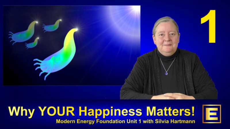 Video Clips From - Modern Energy Foundation 1 - Your Happiness Matters: Introduction to Modern Energy with Silvia Hartmann