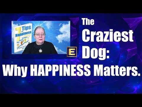 The Craziest Dog - Why HAPPINESS Matters!