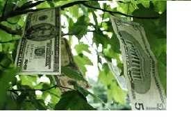 EFT Case Story: Money is not the root of all evil ...