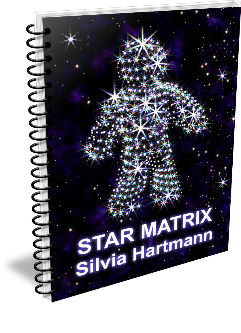 Star Matrix Logo