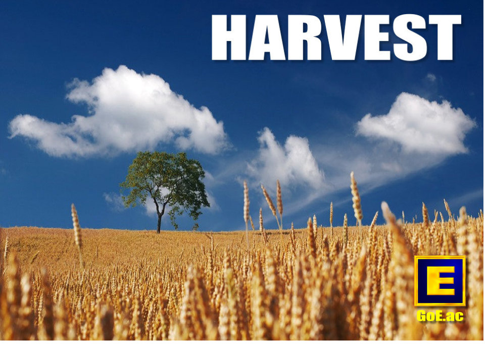 Harvest Energy