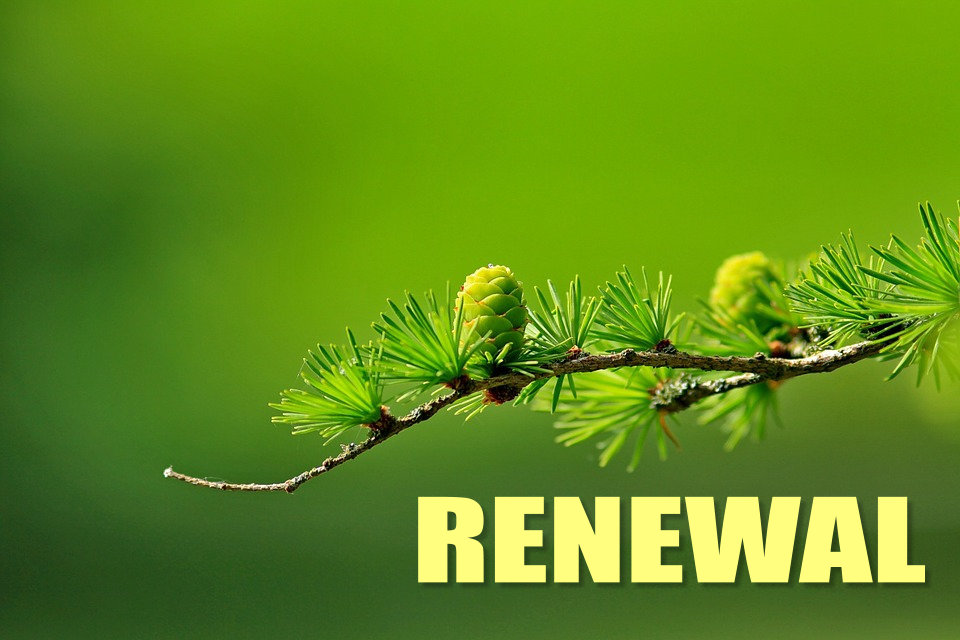 Gain more Renewal with Modern Energy Tapping!