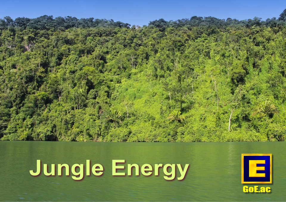 Gain more Jungle Energy with Modern Energy Tapping!