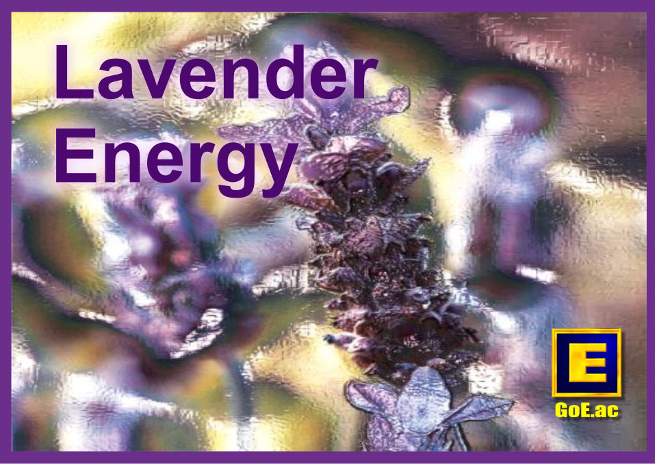 Gain more Lavender Energy with Modern Energy Tapping!
