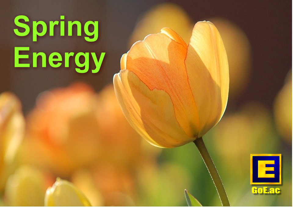 Gain more Spring Energy with Modern Energy Tapping!