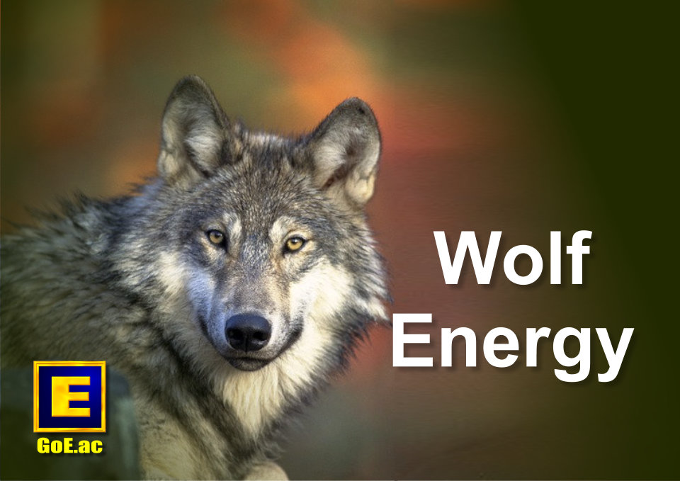 Gain more Wolf Energy with Modern Energy Tapping!