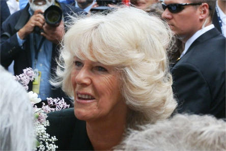 Duchess of Cornwall uses Energy Tapping for Fear of Flying
